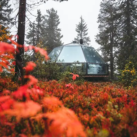 아파트 Igloos 소티